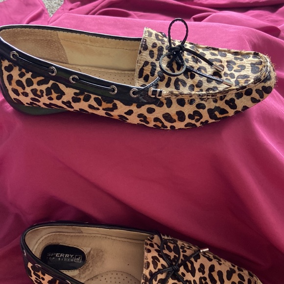 Sperry Top Siders - Picture 4 of 9